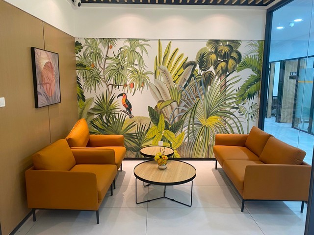 陕西大型清雪机